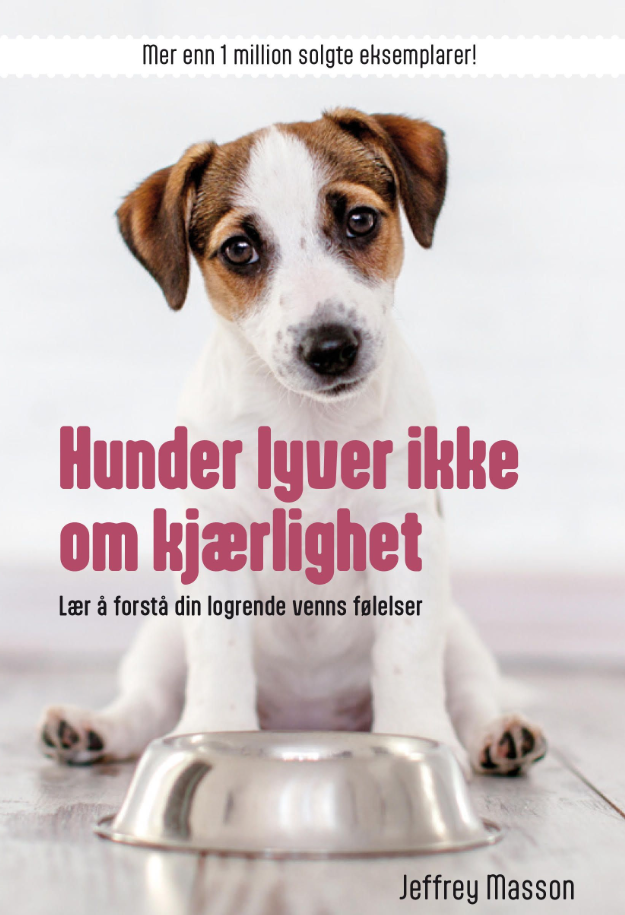 Hunder lyver ikke om kjærlighet - bli bedre kjent med din firbente venn
